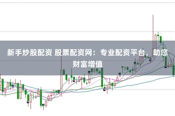 新手炒股配资 股票配资网：专业配资平台，助您财富增值