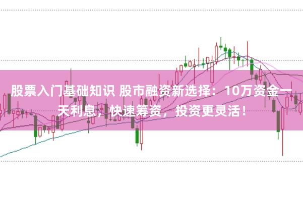 股票入门基础知识 股市融资新选择：10万资金一天利息，快速筹资，投资更灵活！