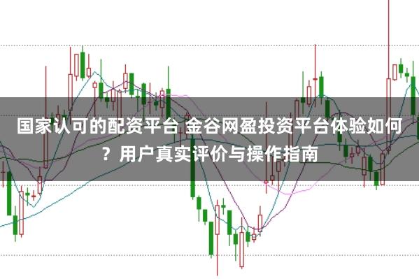 国家认可的配资平台 金谷网盈投资平台体验如何？用户真实评价与操作指南