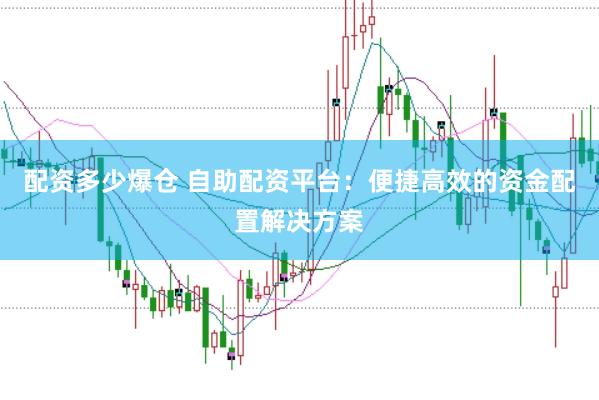 配资多少爆仓 自助配资平台：便捷高效的资金配置解决方案