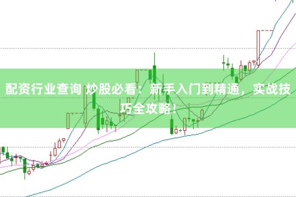 配资行业查询 炒股必看：新手入门到精通，实战技巧全攻略！