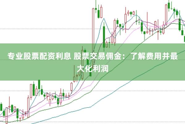 专业股票配资利息 股票交易佣金：了解费用并最大化利润