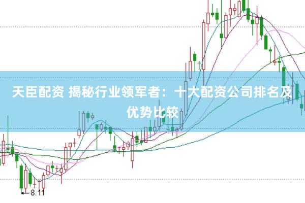 天臣配资 揭秘行业领军者：十大配资公司排名及优势比较