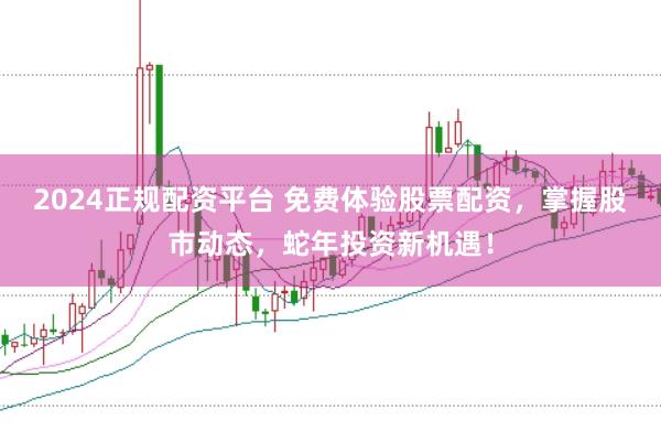 2024正规配资平台 免费体验股票配资，掌握股市动态，蛇年投资新机遇！