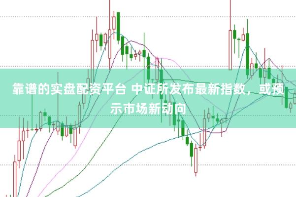 靠谱的实盘配资平台 中证所发布最新指数，或预示市场新动向