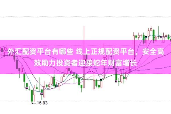 外汇配资平台有哪些 线上正规配资平台，安全高效助力投资者迎接蛇年财富增长