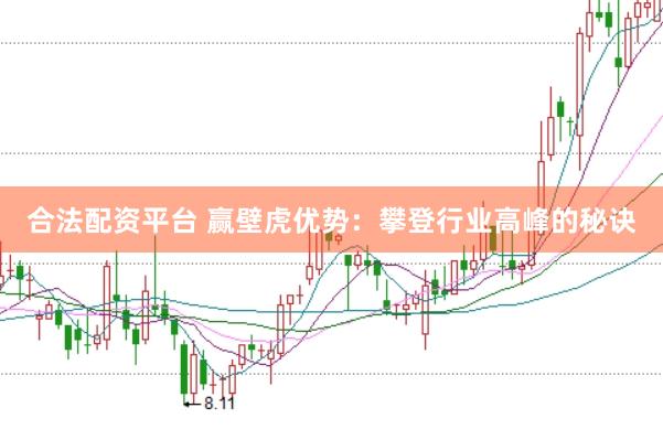 合法配资平台 赢壁虎优势：攀登行业高峰的秘诀