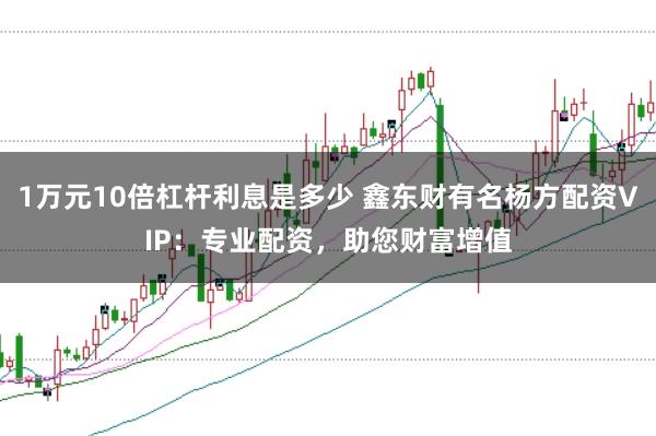 1万元10倍杠杆利息是多少 鑫东财有名杨方配资VIP：专业配资，助您财富增值