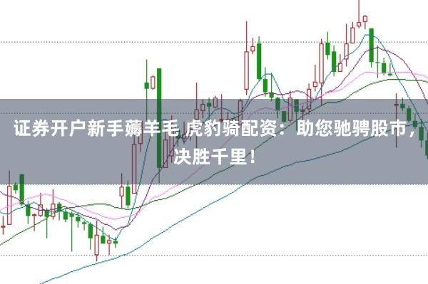 证券开户新手薅羊毛 虎豹骑配资：助您驰骋股市，决胜千里！
