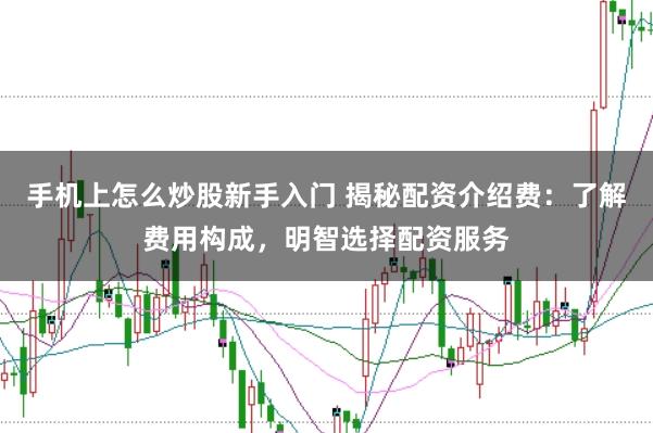 手机上怎么炒股新手入门 揭秘配资介绍费：了解费用构成，明智选择配资服务