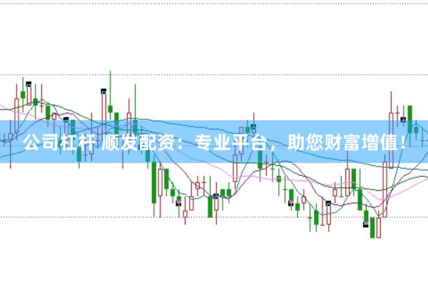 公司杠杆 顺发配资：专业平台，助您财富增值！