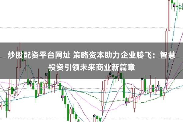 炒股配资平台网址 策略资本助力企业腾飞：智慧投资引领未来商业新篇章