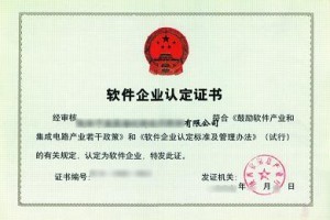 上海双软企业认定专业市场